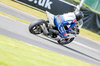 Oulton-Park-14th-March-2020;PJ-Motorsport-Photography-2020;anglesey;brands-hatch;cadwell-park;croft;donington-park;enduro-digital-images;event-digital-images;eventdigitalimages;mallory;no-limits;oulton-park;peter-wileman-photography;racing-digital-images;silverstone;snetterton;trackday-digital-images;trackday-photos;vmcc-banbury-run;welsh-2-day-enduro